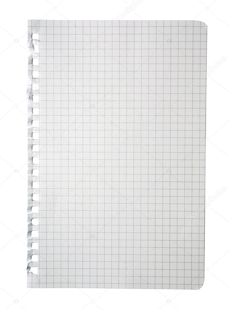 Torn checked notepad page isolated on white background.
