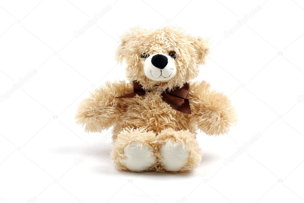 Brown teddy bear toy isolated on white background with shadow.