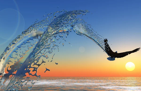 바다 위의 새. — 스톡 사진
