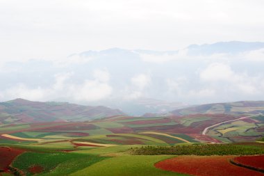 Çin kırsal manzara