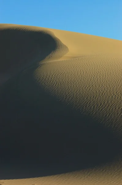 Desert detail — Stock Photo, Image