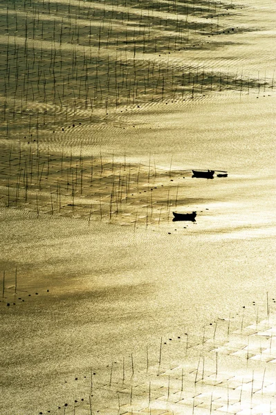 stock image Seaweed farm