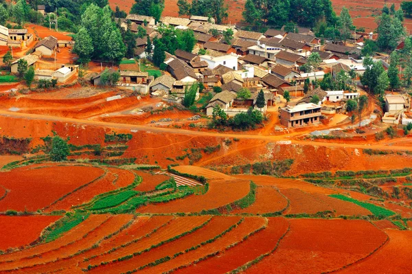 Деревня на красном поле — стоковое фото