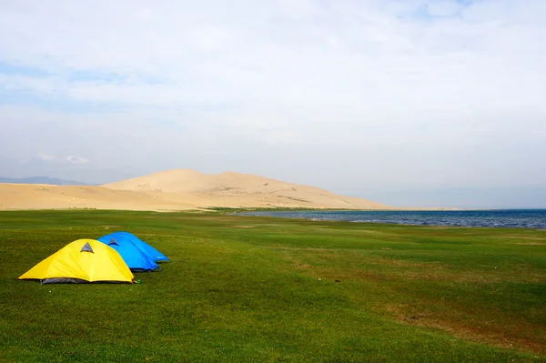 stock image Tent on the lawn