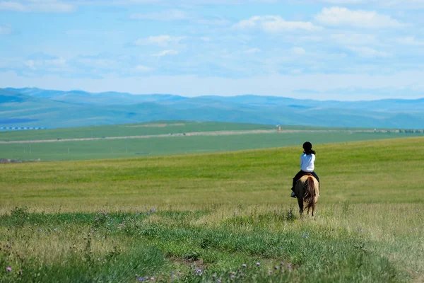 Ridning häst i gräsmark — Stockfoto