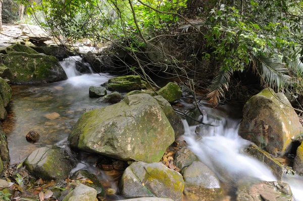 stock image Mountain stream