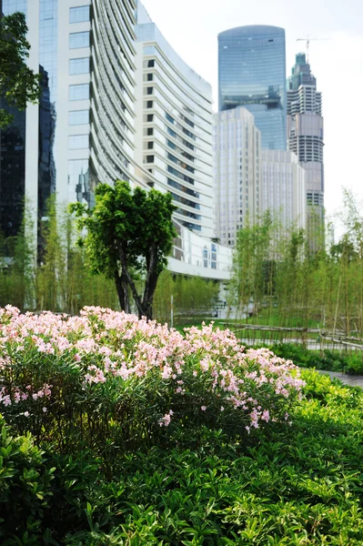 Flowers before modern buildings background — Stock Photo, Image