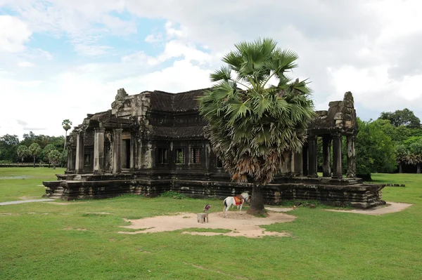 Cambodia - Angkor wat temple — Stock Photo, Image