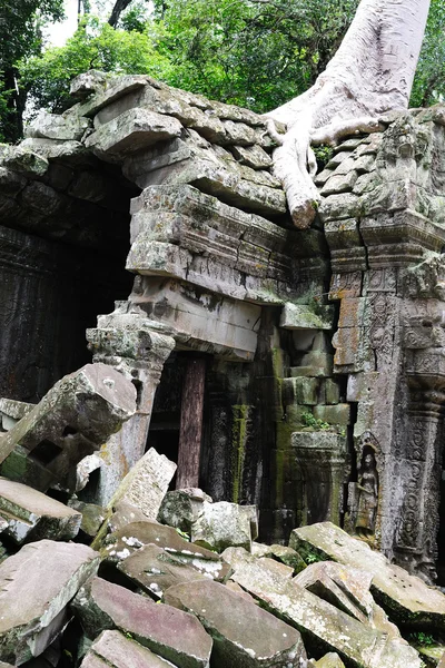 Ta Prohm Temple, Angkor, Cambodja - Stock-foto
