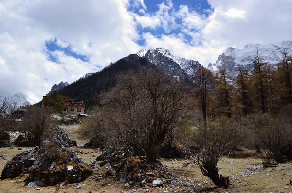Tibetan mani stones by snow mountain — Stockfoto