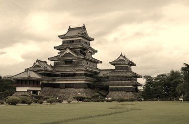 Tokyo Sky ağaç