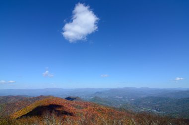 Blue ridge Dağları