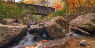 Autumn Stream clipart