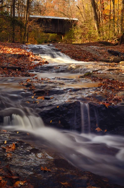 stock image Autumn Falls