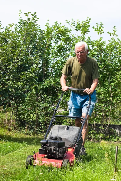 シニア男性の芝生を刈る — ストック写真