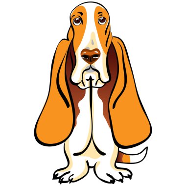 Vector dog Basset Hound breed clipart