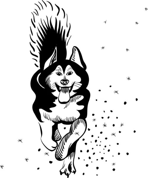 ベクトル アラスカンマラミュート犬 — ストックベクタ