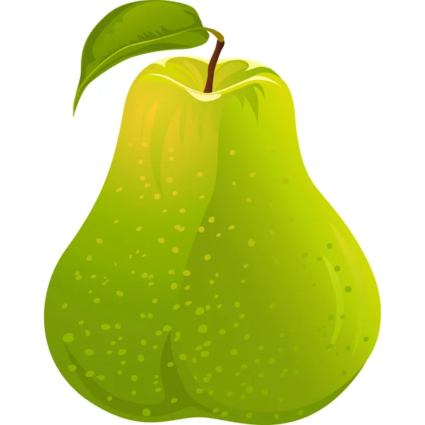 Vector groene pear — Stockvector