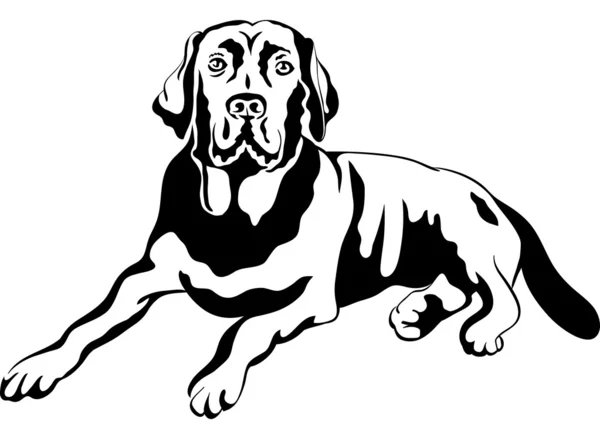 ベクトル スケッチ犬ラブラドル ・ レトリーバー犬を品種します。 — ストックベクタ