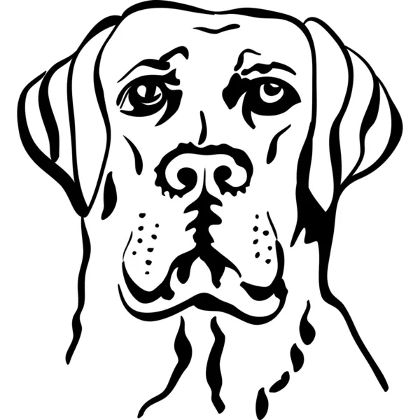 Croquis vectoriel chien race labrador récupérateurs — Image vectorielle
