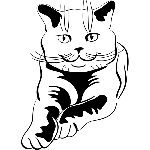 영국 고양이의 벡터 스케치 — 스톡 벡터