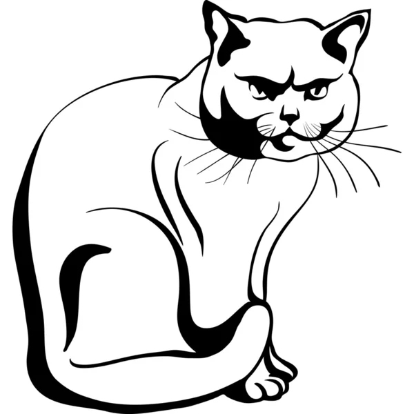 Вектор ескіз британський кіт — стоковий вектор