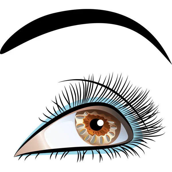 Vector closeup of beautiful female eye — Stock Vector