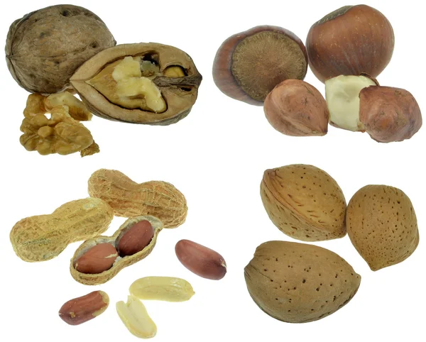 Вибір змішаних горіхів — стокове фото