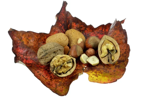 Selectie van gemengde noten — Stockfoto