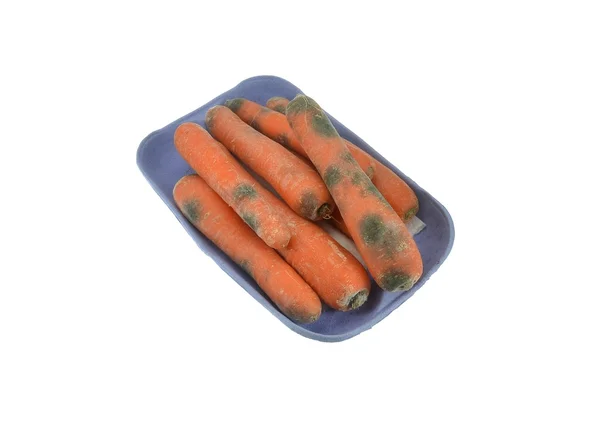 Ruttna mögliga morötter i kartong bricka — Stockfoto