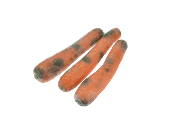 Rotte beschimmelde wortelen — Stockfoto