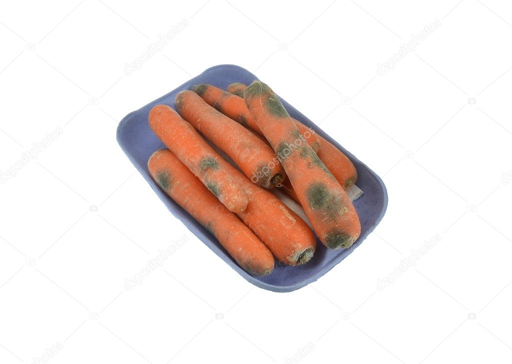 Rotten mouldy carrots in cardboard tray