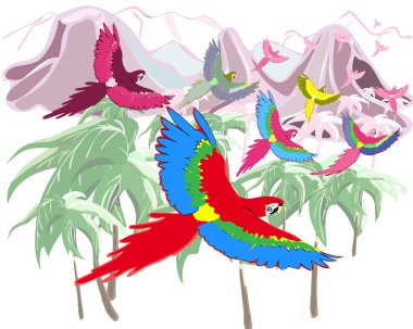 Macaws in jungles clipart