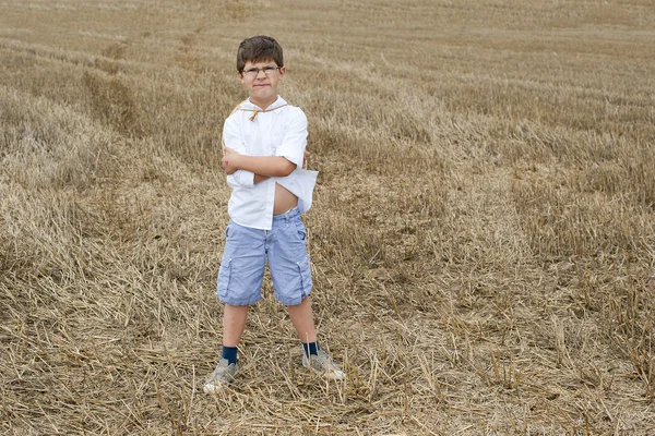 小規模農家 — ストック写真