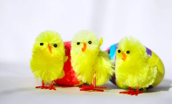 Tre pollo pasquale — Foto Stock