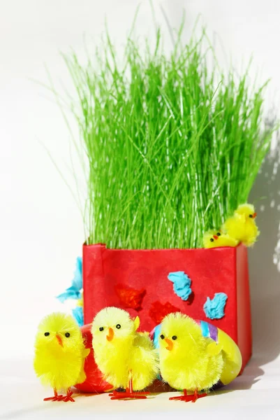 Ovos de páscoa coloridos e galinhas em grama verde com backg branco — Fotografia de Stock