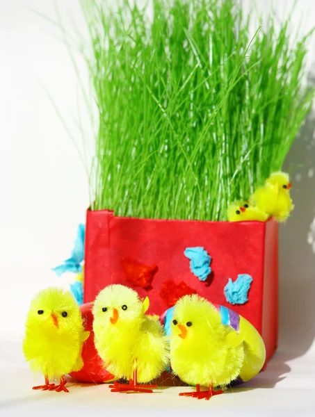Ovos de páscoa coloridos e galinhas em grama verde com backg branco — Fotografia de Stock