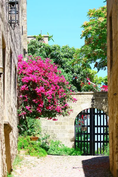 Stock image Medieval street in Old city of Rhodes island. Greece