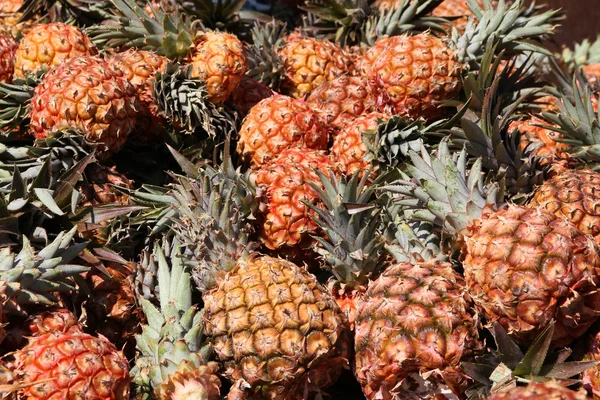 stock image Pineapples