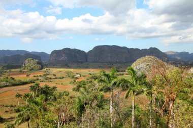 Cuba - Vinales clipart