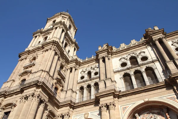 Malaga Katedrali — Stok fotoğraf