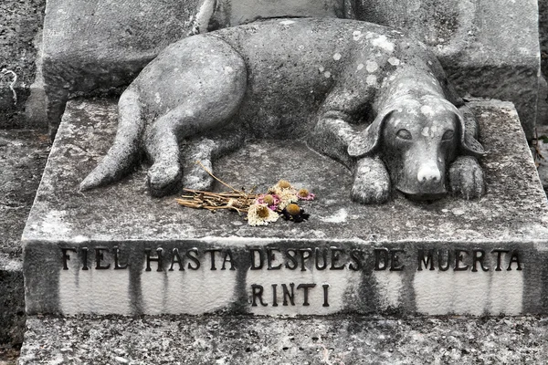 Dog grave