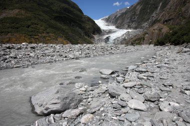 Yeni Zelanda