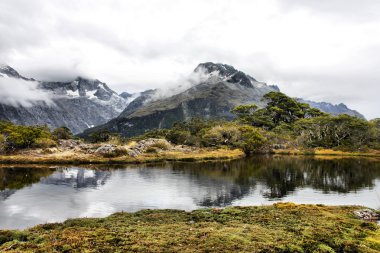 Yeni Zelanda