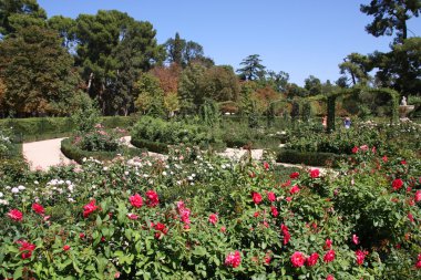 Botanical garden in Madrid clipart