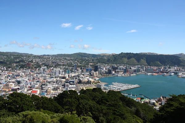 Wellington. — Fotografia de Stock