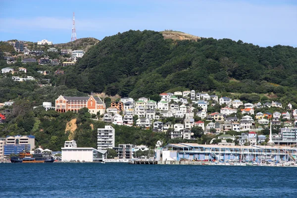 Wellington — Stok fotoğraf