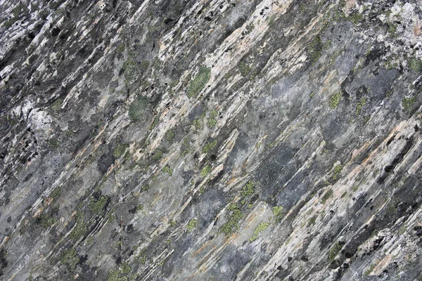 片麻岩の岩石 — ストック写真