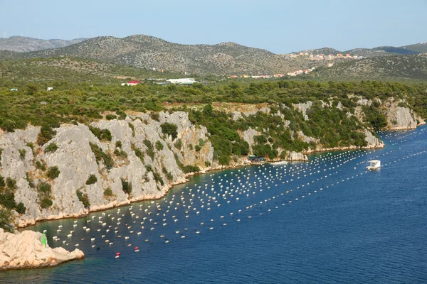 stock image Mussels farm