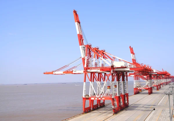 Port Cargo Cranes — Stock Photo, Image